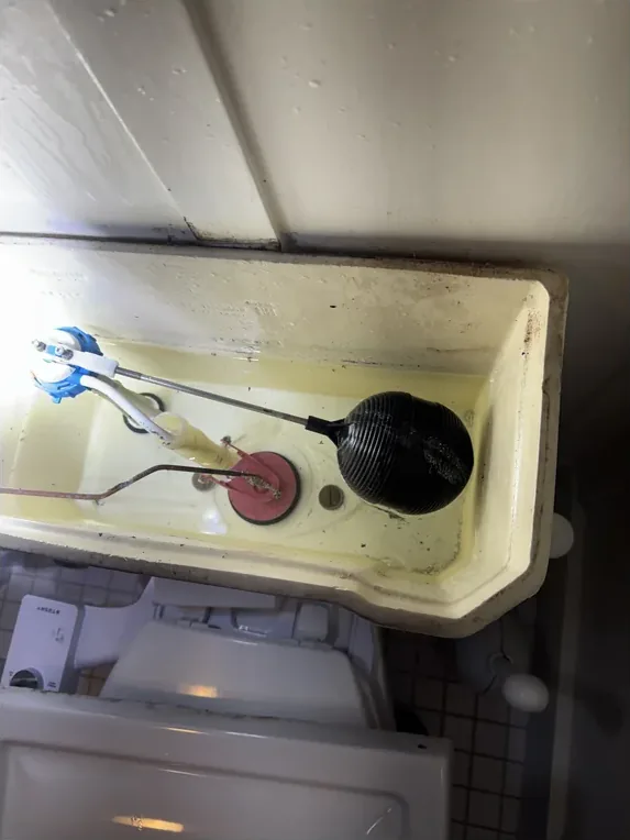A new, efficient toilet flapper installed by C&C Plumbing.